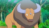 Image via Pokemon Wiki